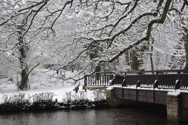 Cassiobury Park bridge