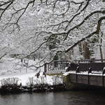 Cassiobury Park bridge