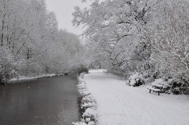 Cassiobury Park in the snow