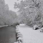 Cassiobury Park in the snow