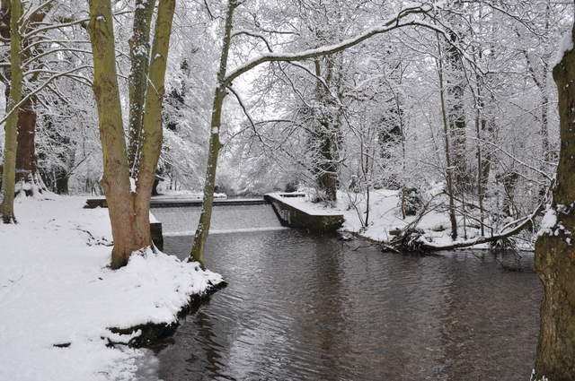 Cassiobury Park in the snow