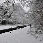 Canal Lock on the Grand Union in Cassiobury Park