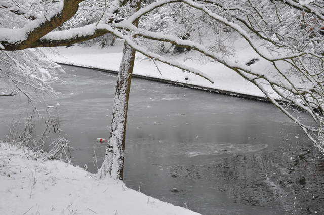 Slightl frozen canal