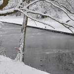 Slightl frozen canal