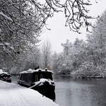 Narrowboats in Cassiobury Park