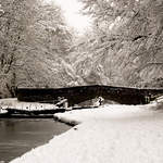 Bridge over the Grand Union in Cassiobury Park