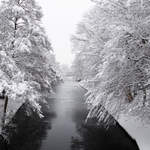 Cassiobury Park in the snow