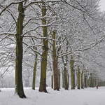 Cassiobury Park in the snow