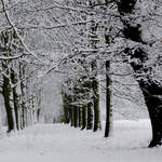 Cassiobury Park / Narnia