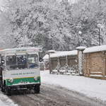 Local milk man in the snow