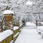 Church Road snow