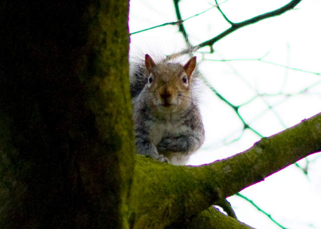 DSC_0266.JPG