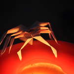 Fire Spider