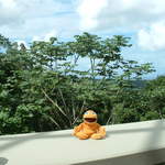 It's a splendid view from the El Portal Tropical Forest Center