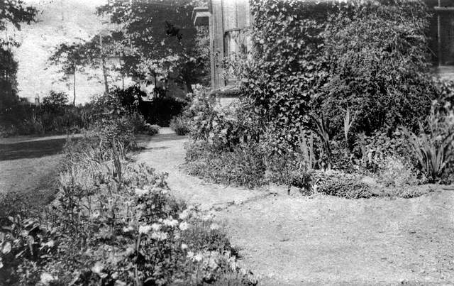 010.jpg