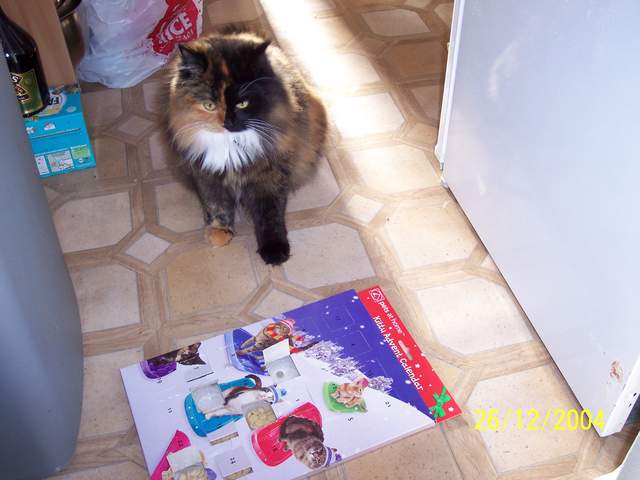 100_0446.JPG