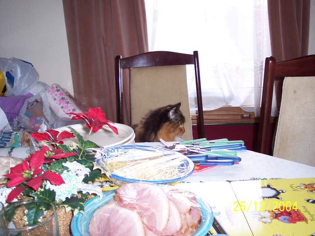 100_0450.JPG