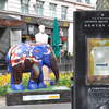 The Princess Elephant