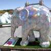 Cubelephant