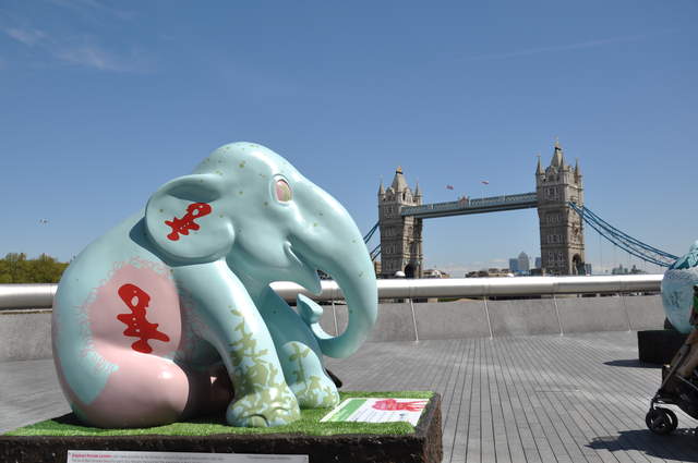 Elephas Maximus