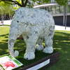 Kids Co Elephant