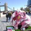 Roselephant