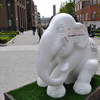 The Elephant Outside the Room