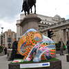 Elephant Race