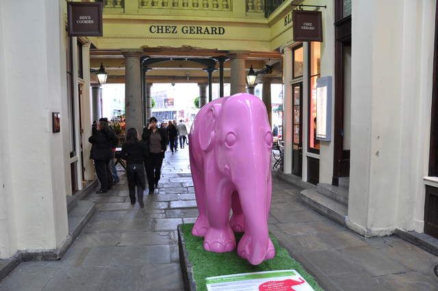 Pink Elephant