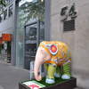 Chinesephant