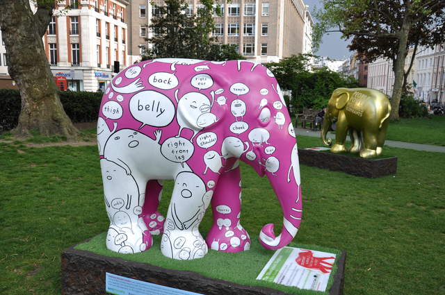 The Illustrated Elephant