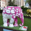 The Illustrated Elephant