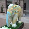 Map Elephant