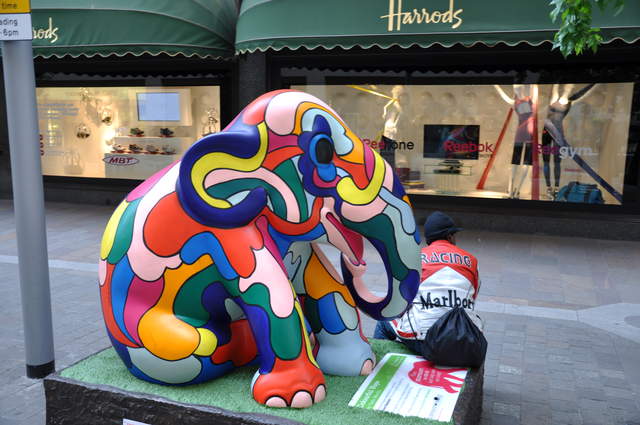 Colourful Hope