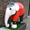 Dedicated to the Wonderful Chelsea Pensioners