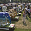 Elephants as far as the eye can see