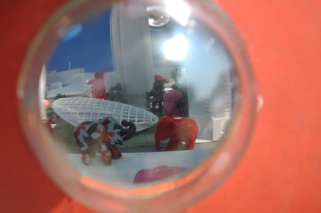 DSC_0170.JPG