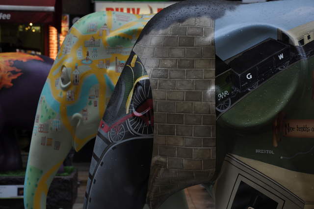 f14188864.jpg