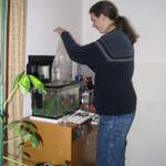 Kev, lowering Bailey's and Tequila into their new home