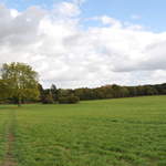 Whitmoor Common