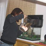 Thanksgiving2004 011.jpg