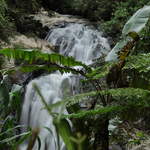 Robinson Falls, Tanah Rata