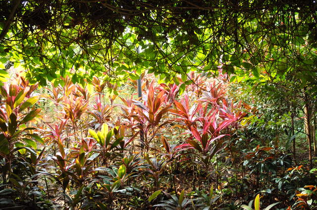 DSC_0043.JPG