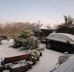 snow-november2010-002.jpg