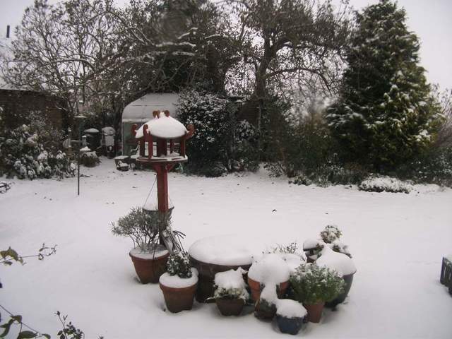 snow-november2010-004.jpg