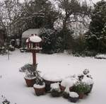 snow-november2010-004.jpg