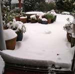 snow-november2010-005.jpg