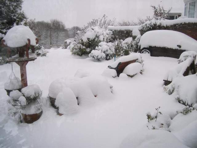 snow-november2010-008.jpg
