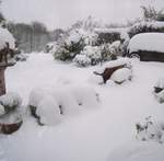 snow-november2010-008.jpg
