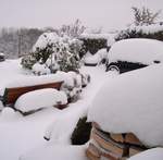 snow-november2010-012.jpg